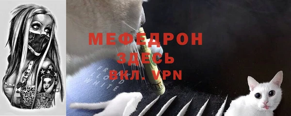 сатива Дмитровск