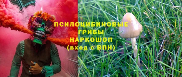 mdpv Дмитров