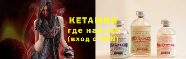 сатива Дмитровск