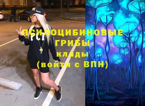 молекула духа Дмитриев