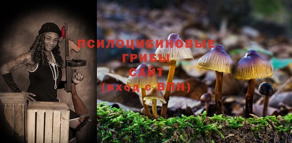 сатива Дмитровск