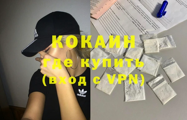 сатива Дмитровск
